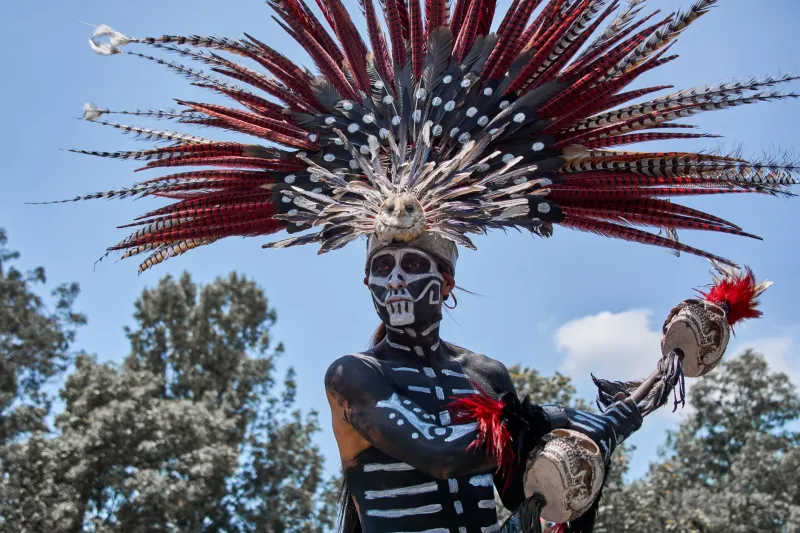 From the Arena to the Algorithm: How Powwow Culture Found Its Footing on TikTok